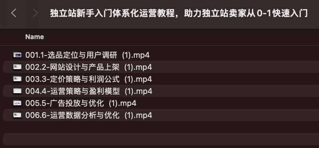 独立站新手入门体系化运营教程,助力独立站卖家从0-1快速入门