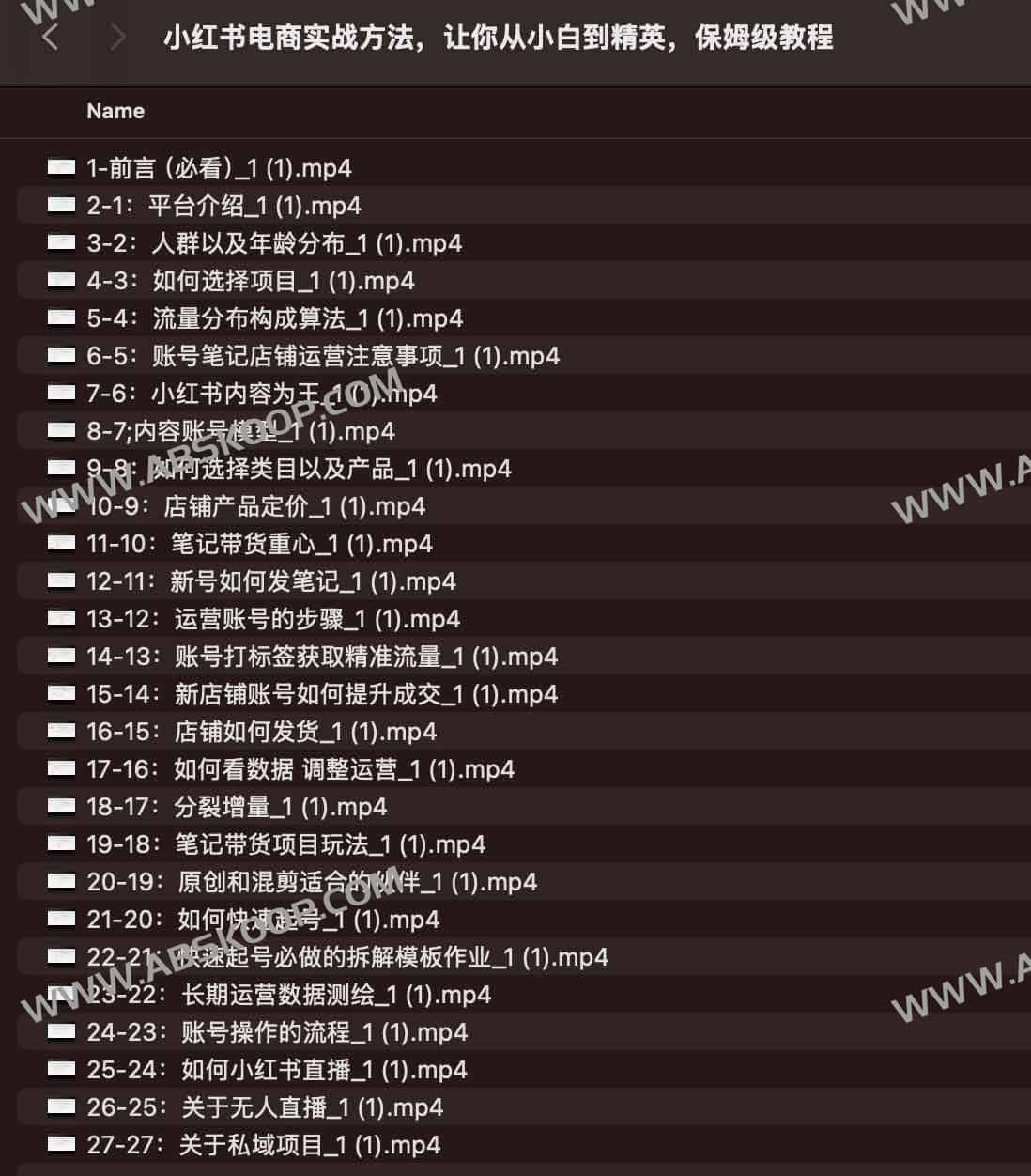 小红书电商实战方法,让你从小白到精英,保姆级教程
