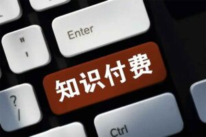 IP合伙人知识付费虚拟项目