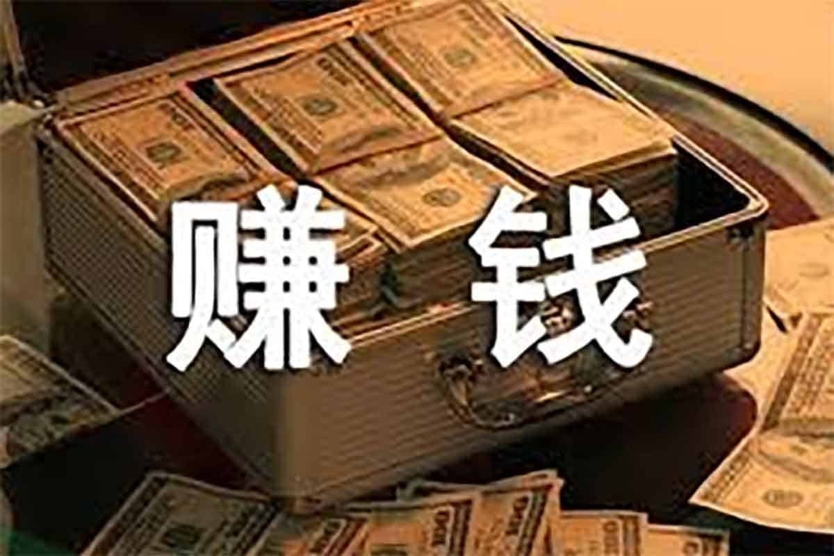 实体店赚钱档案：36个实操案例揭秘高效引流与暴利盈利模式