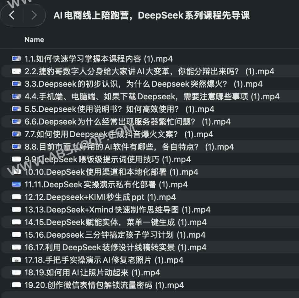 AI电商线上陪跑营,DeepSeek系列课程先导课