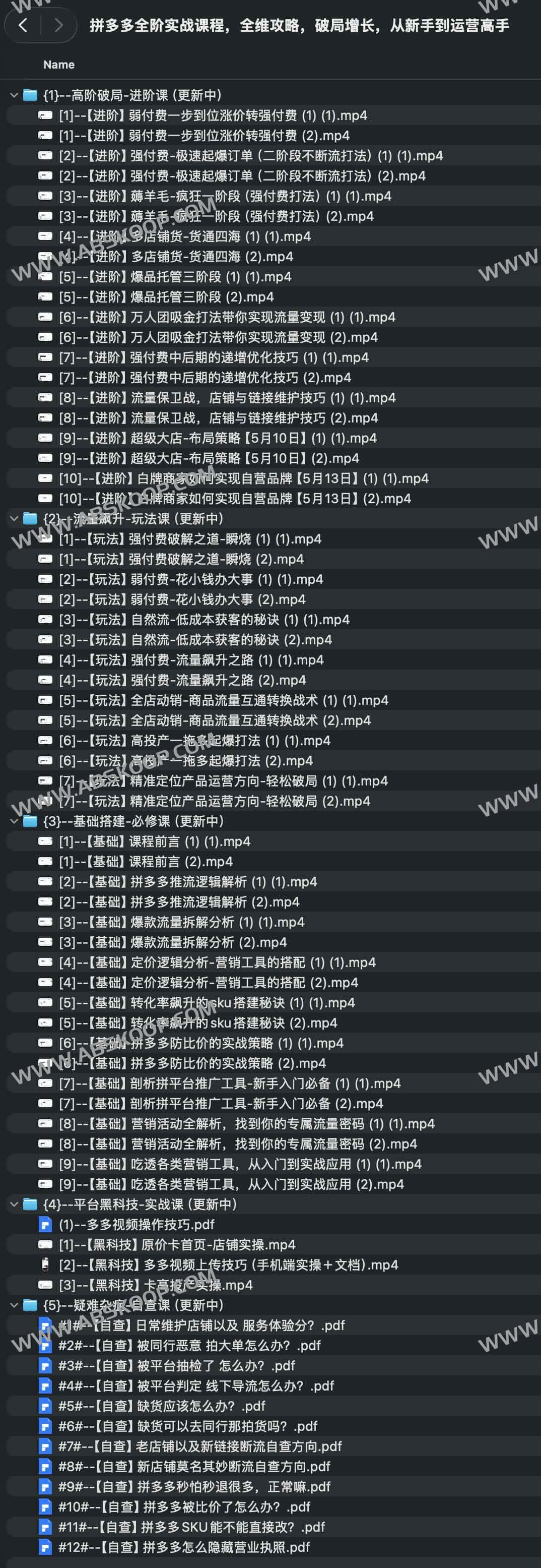 拼多多全阶实战课程,全维攻略,破局增长,从新手到运营高手