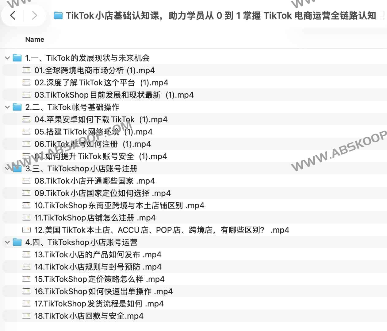TikTok小店基础认知课,助力学员从 0 到 1 掌握 TikTok 电商运营全链路认知