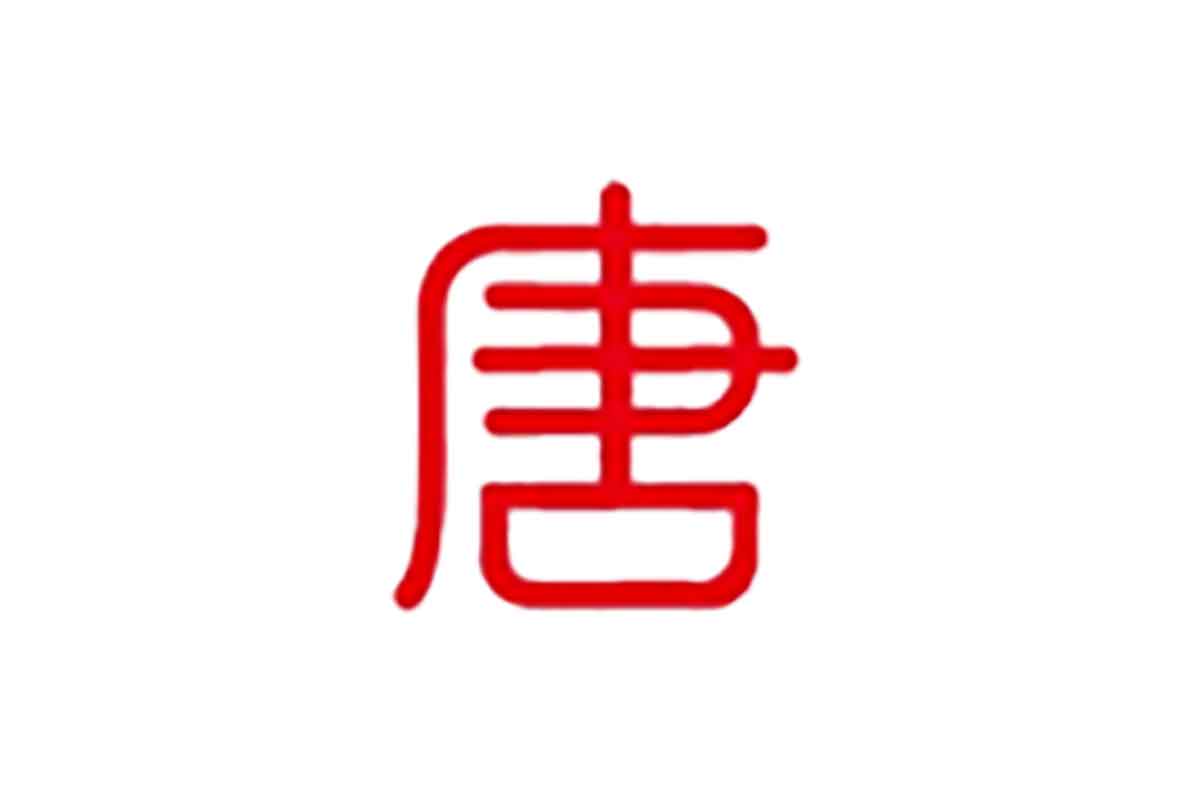 唐库全自动写小说系统 1.0：AI生成百万字长篇小说，支持大纲与章摘校对